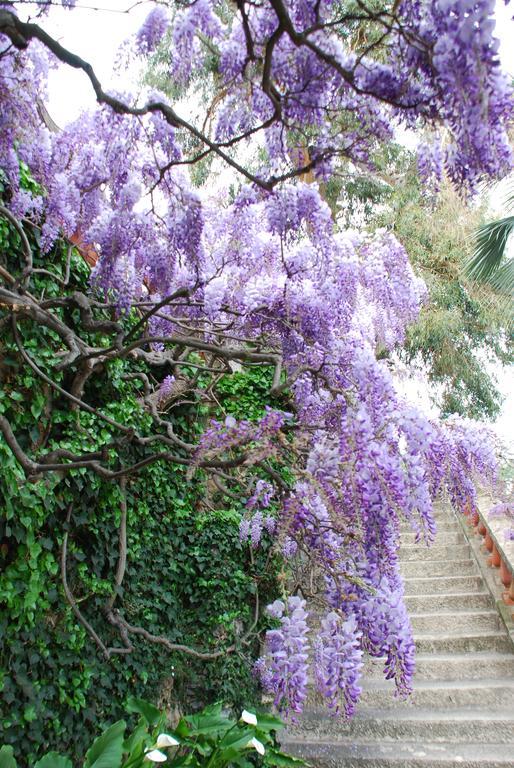 Villa Della Pergola Relais Et Chateaux Alassio Exterior foto