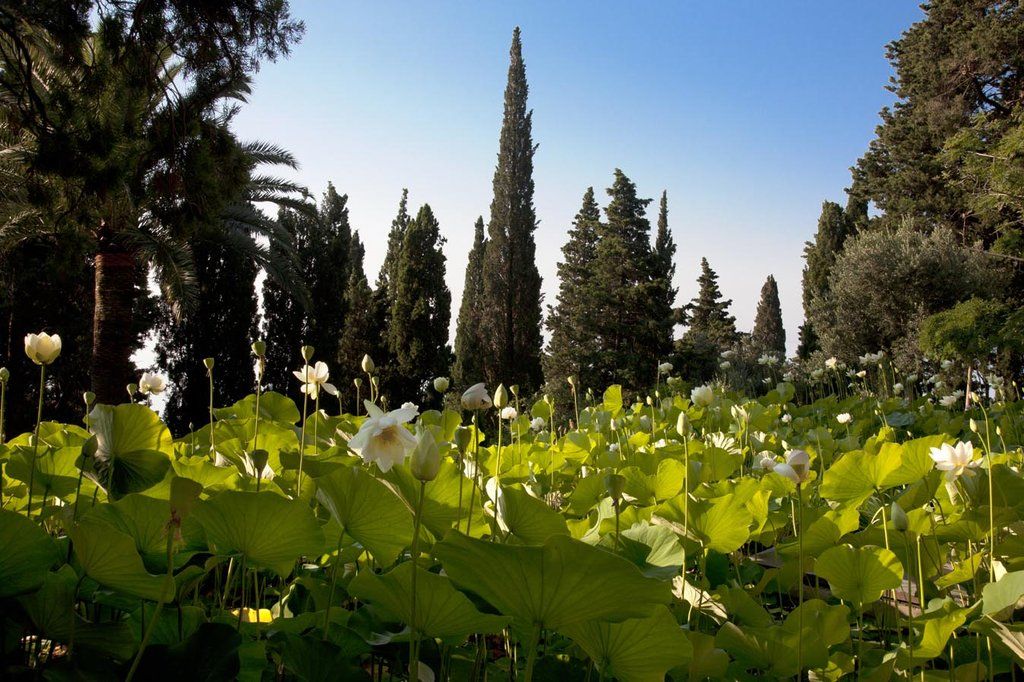 Villa Della Pergola Relais Et Chateaux Alassio Exterior foto